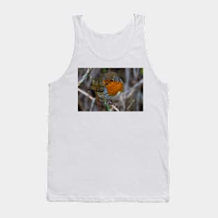 Fluffed up Robin Tank Top